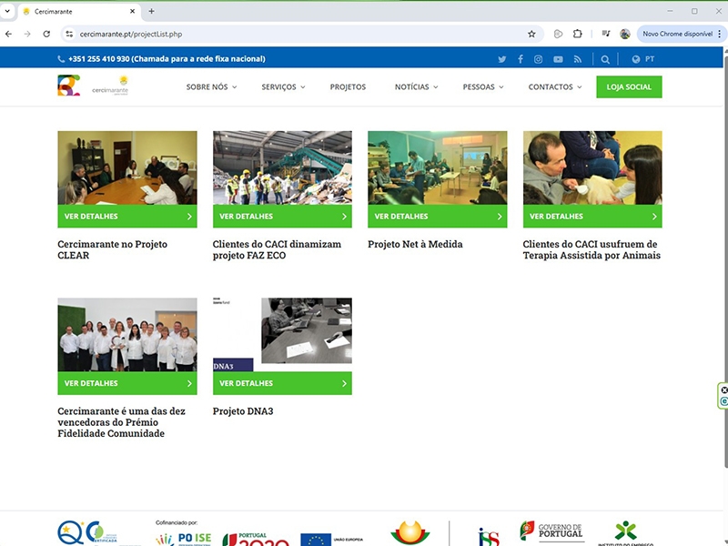 Imagem da Galeria